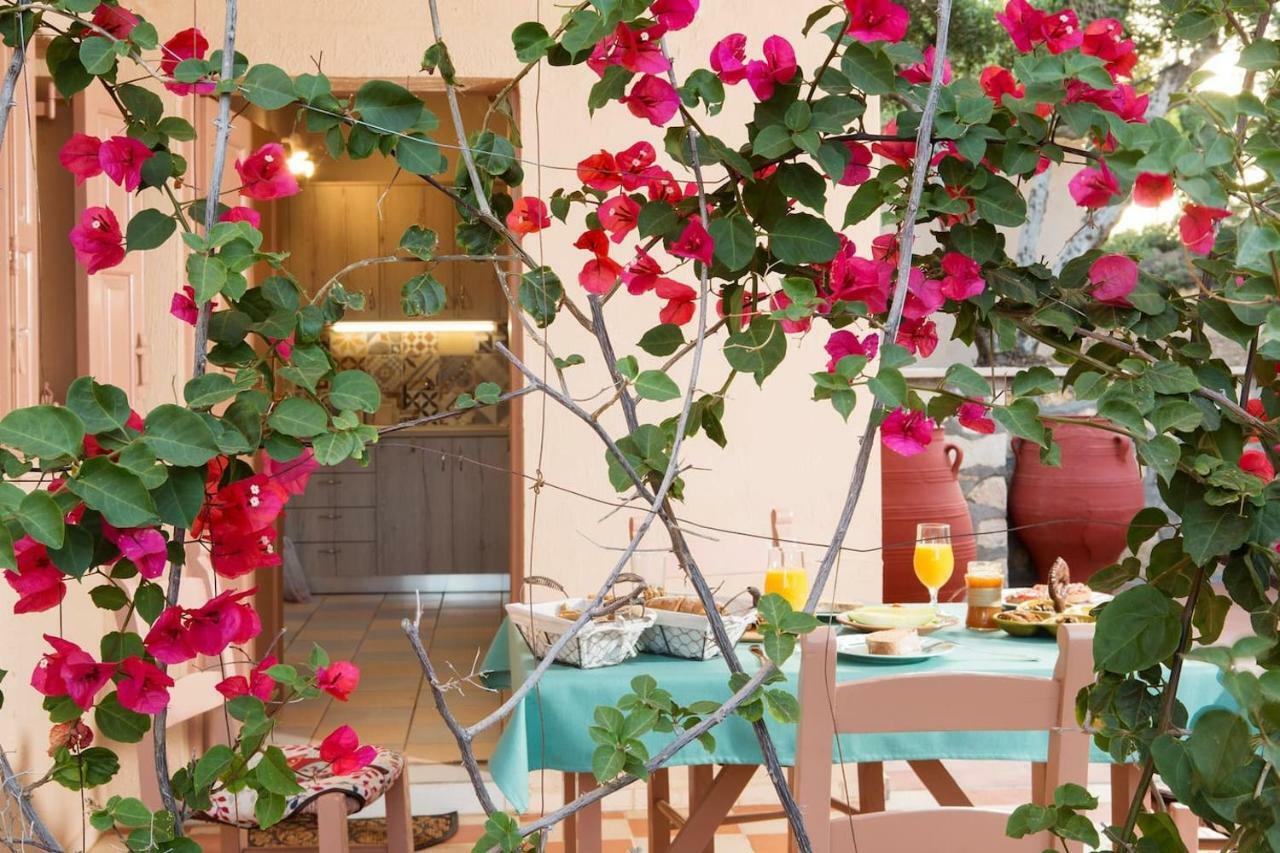 White Sand Villa. Spacious Villa With Prive Pool. Agia Pelagia Exteriér fotografie